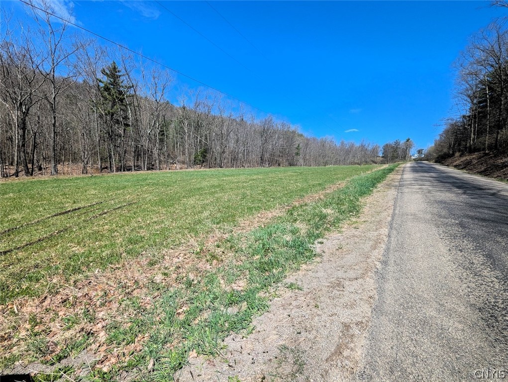 5831 Burt Hill Road Howard, NY 14823 - Photo 14 of 40