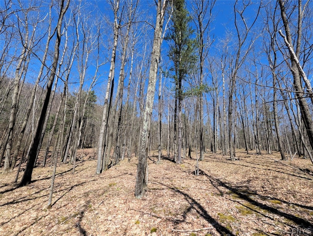 5831 Burt Hill Road Howard, NY 14823 - Photo 23 of 40