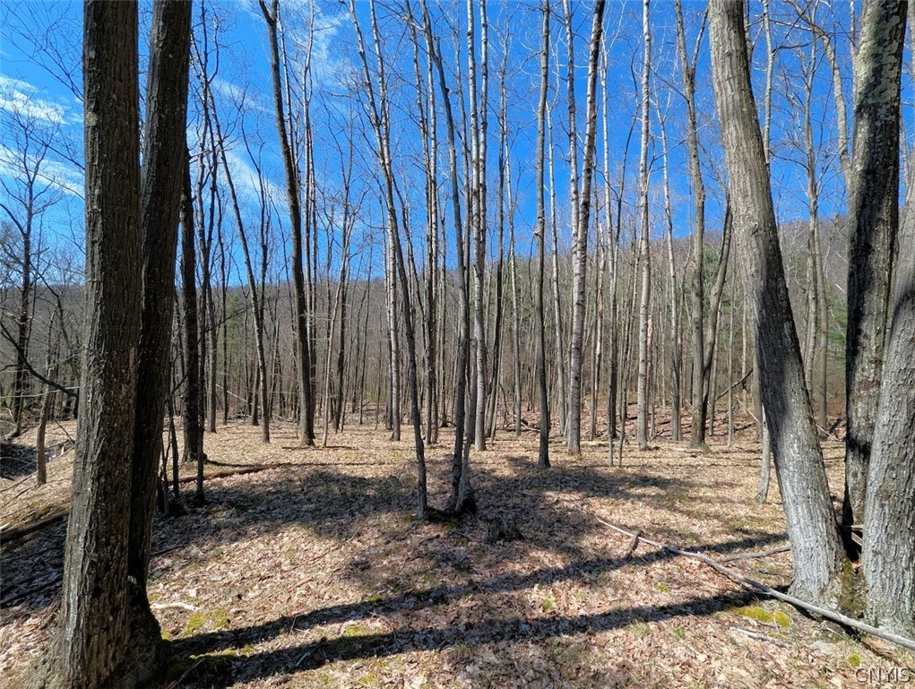 5831 Burt Hill Road Howard, NY 14823 - Photo 24 of 40