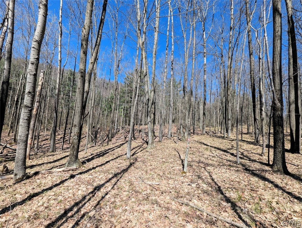 5831 Burt Hill Road Howard, NY 14823 - Photo 25 of 40