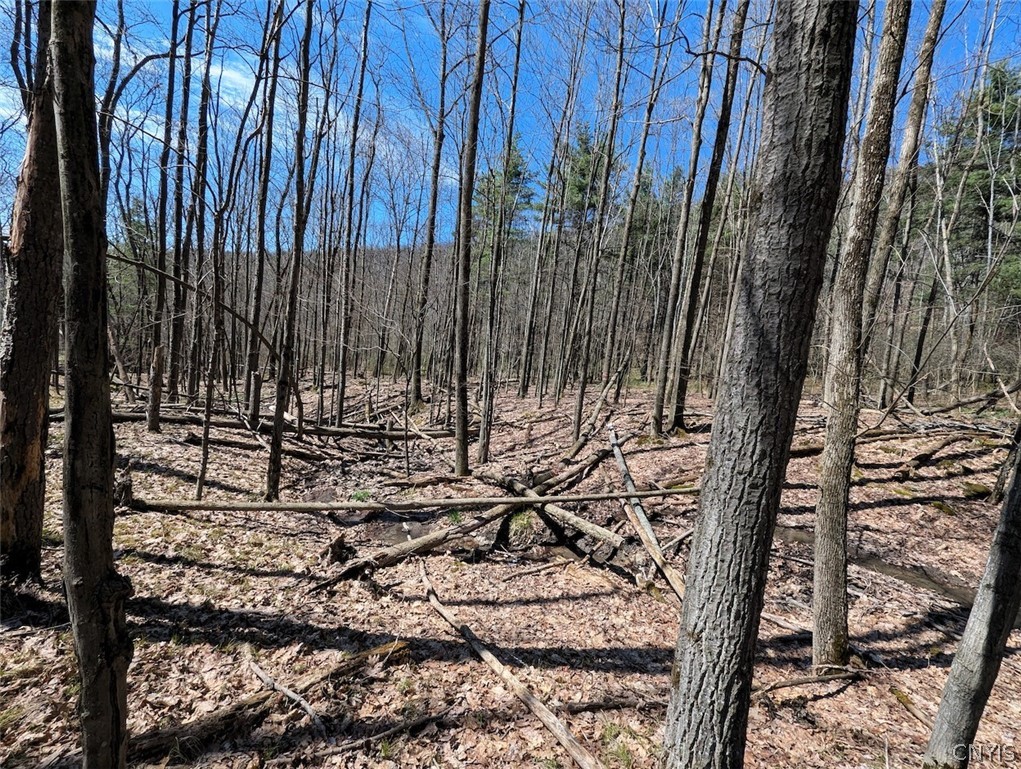 5831 Burt Hill Road Howard, NY 14823 - Photo 26 of 40