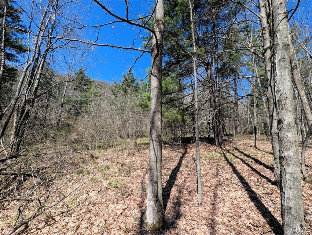 5831 Burt Hill Road Howard, NY 14823 - Photo 27 of 40