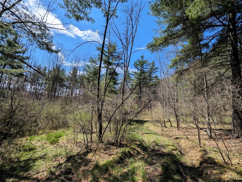 5831 Burt Hill Road Howard, NY 14823 - Photo 30 of 40