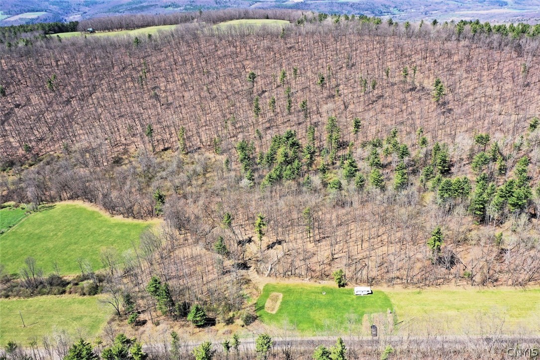 5831 Burt Hill Road Howard, NY 14823 - Photo 3 of 40