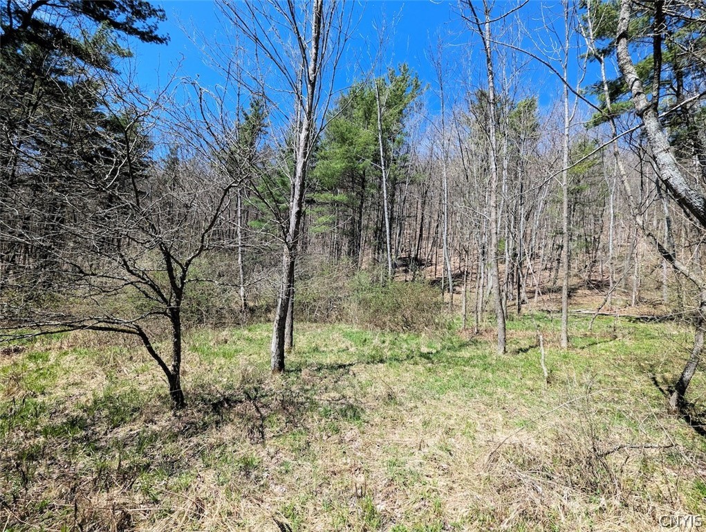 5831 Burt Hill Road Howard, NY 14823 - Photo 31 of 40