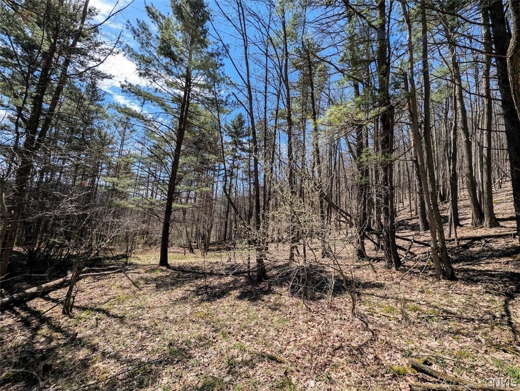 5831 Burt Hill Road Howard, NY 14823 - Photo 32 of 40