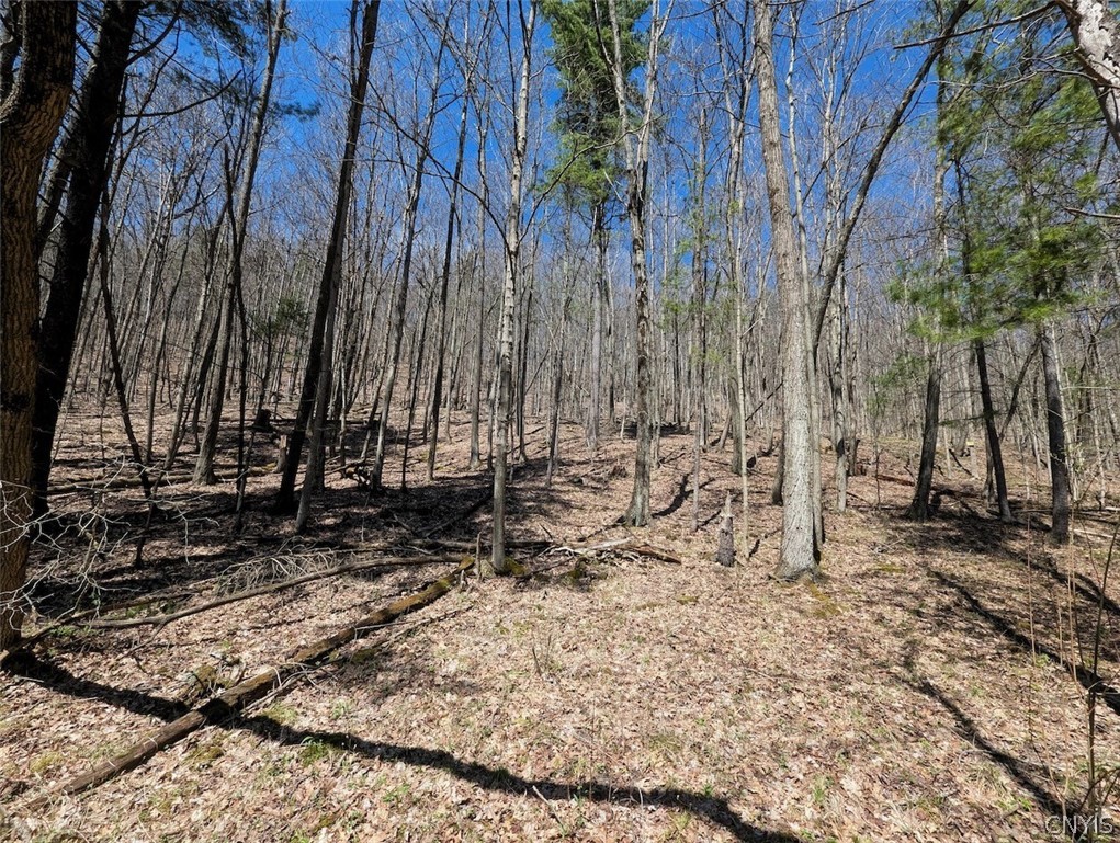 5831 Burt Hill Road Howard, NY 14823 - Photo 33 of 40