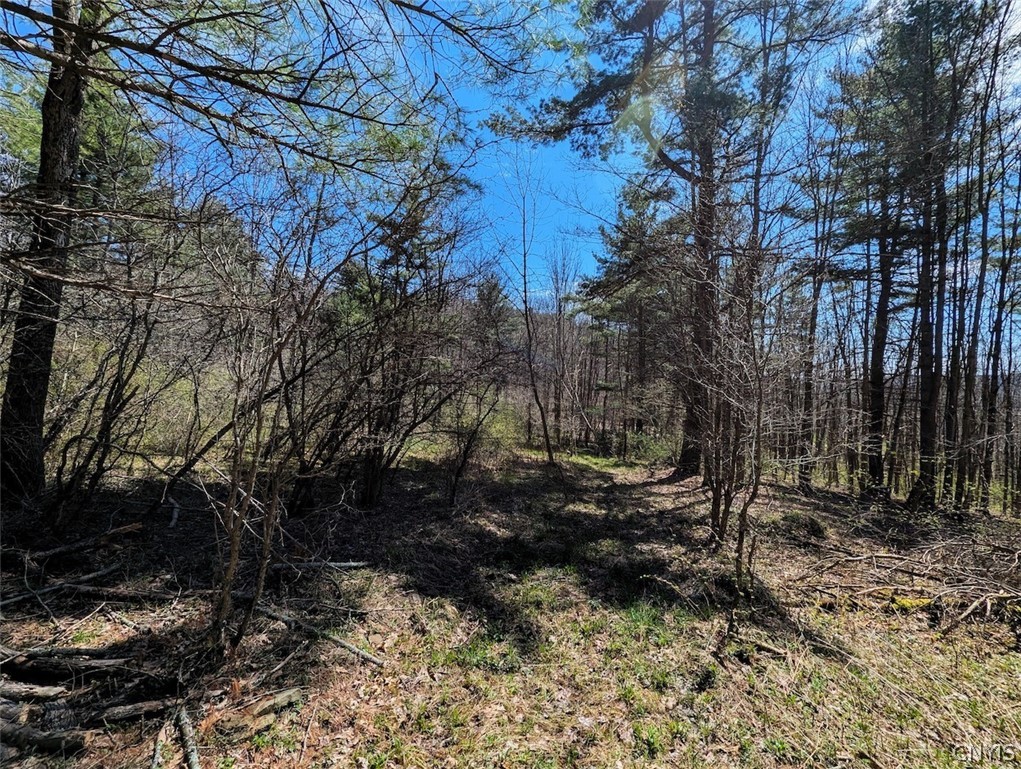 5831 Burt Hill Road Howard, NY 14823 - Photo 34 of 40