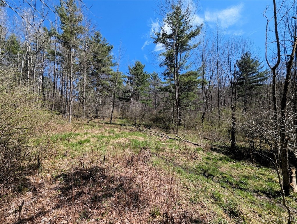 5831 Burt Hill Road Howard, NY 14823 - Photo 35 of 40