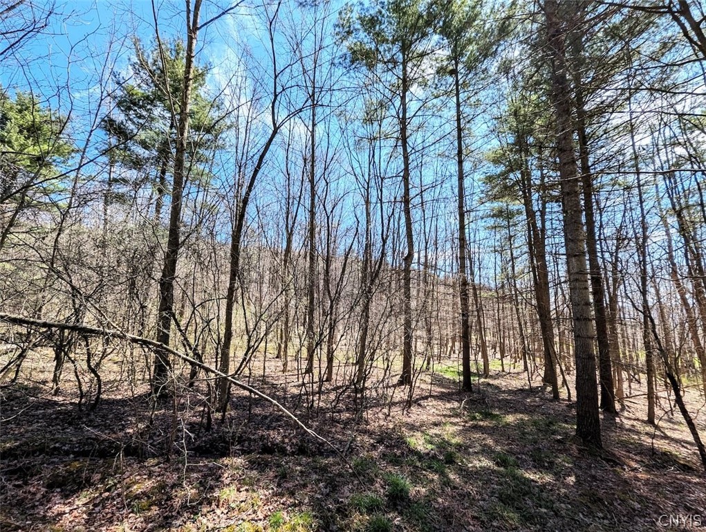 5831 Burt Hill Road Howard, NY 14823 - Photo 36 of 40