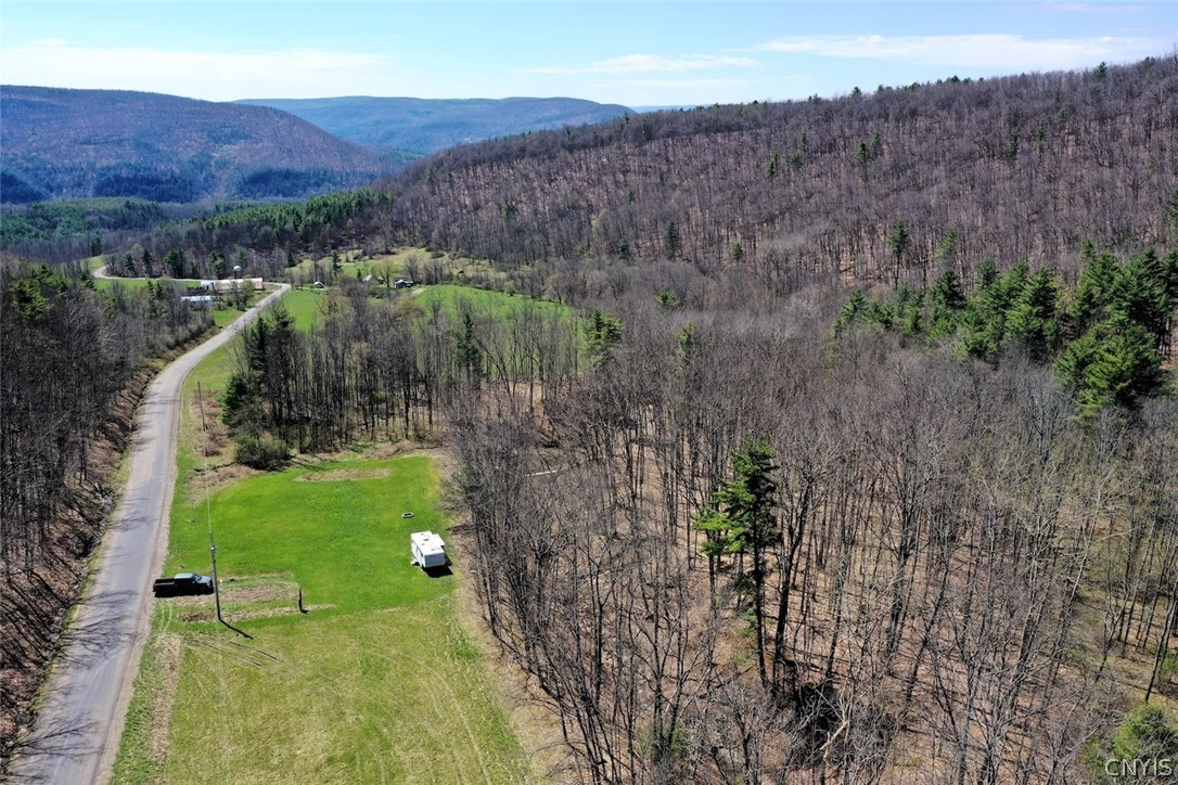 5831 Burt Hill Road Howard, NY 14823 - Photo 37 of 40