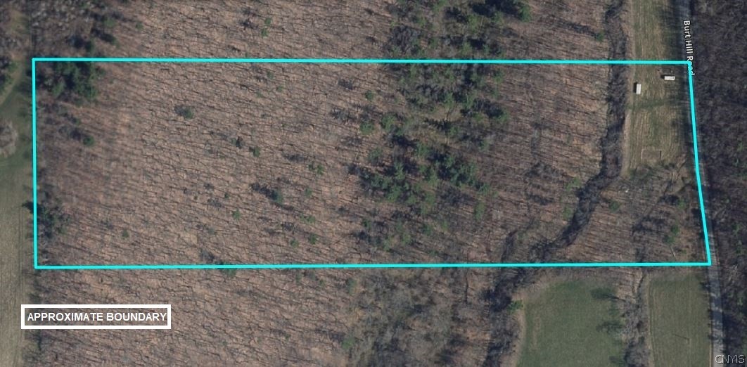 5831 Burt Hill Road Howard, NY 14823 - Photo 4 of 40