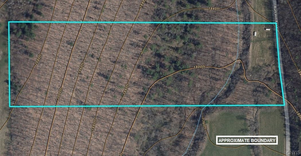 5831 Burt Hill Road Howard, NY 14823 - Photo 5 of 40