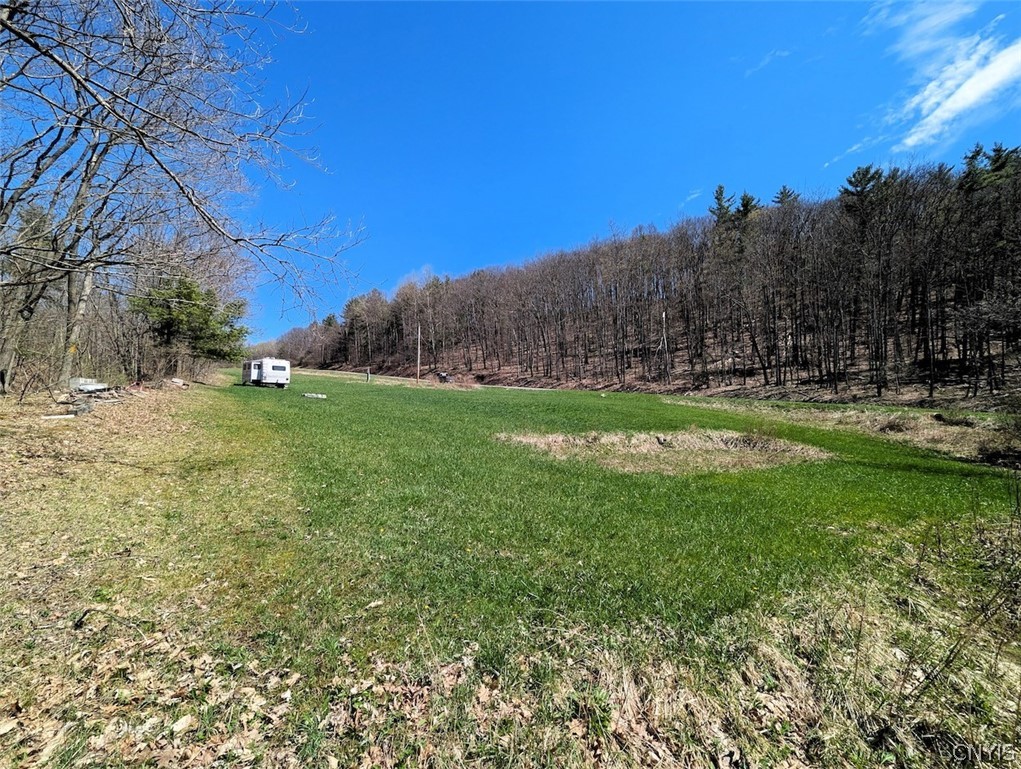 5831 Burt Hill Road Howard, NY 14823 - Photo 6 of 40