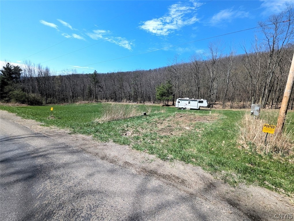 5831 Burt Hill Road Howard, NY 14823 - Photo 7 of 40