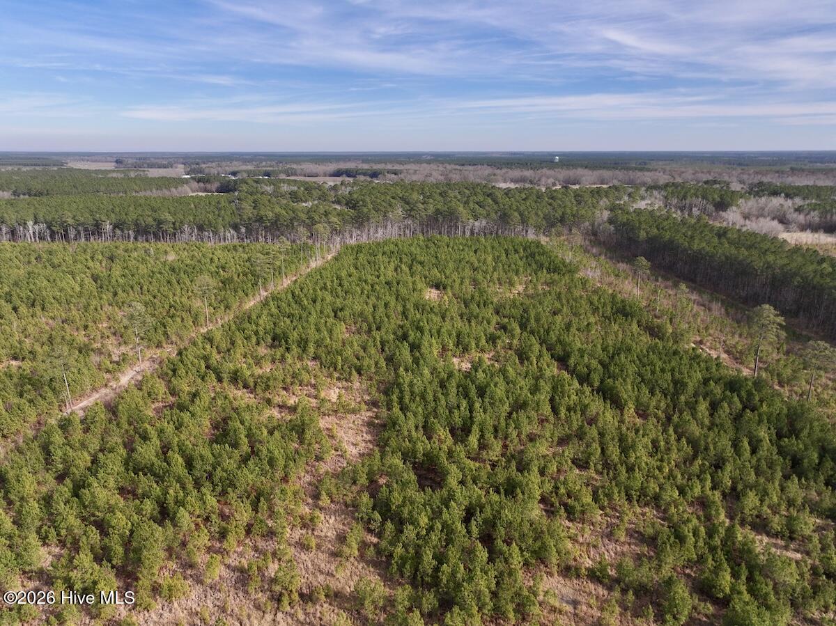 0 Old Washington Road Vanceboro, NC 28586 - Photo 26 of 34 26