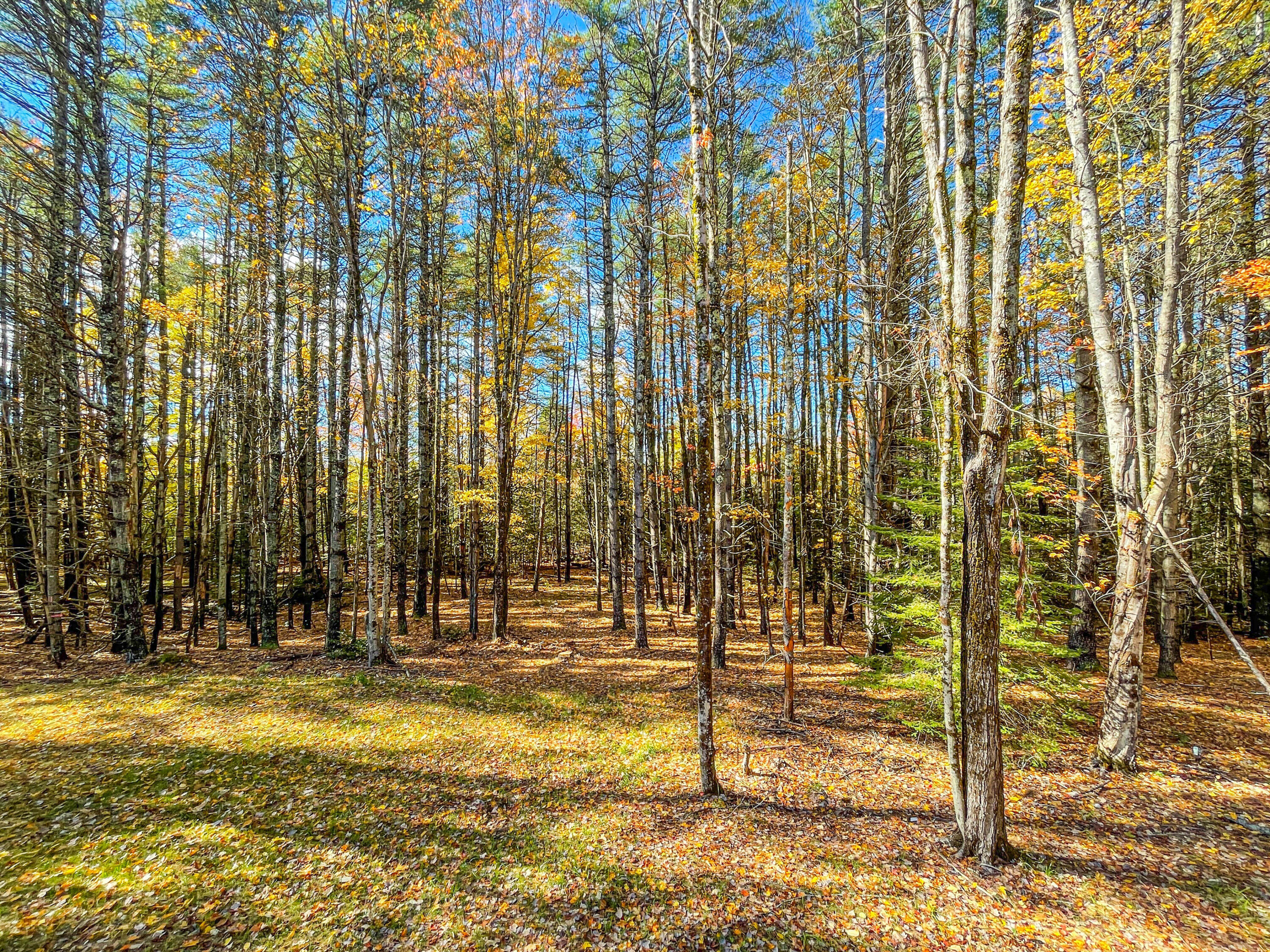 863 Naples Road Harrison, ME 04040 - Photo 49 of 62 863 Naples Rd Harrison -60