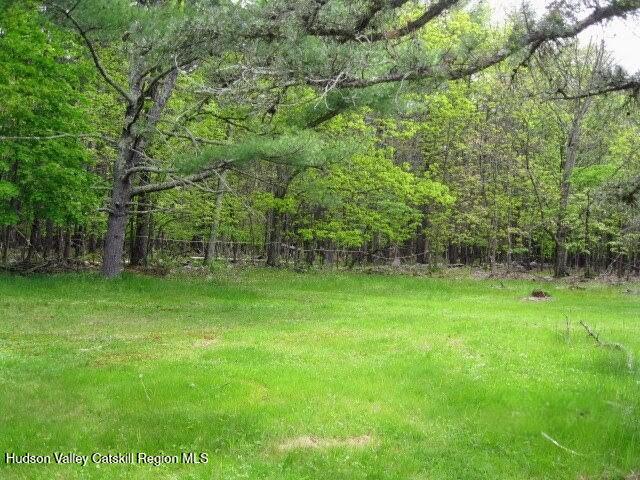 80 Maple Avenue Cairo, NY 12413 - Photo 2 of 15 IMG_9309~2