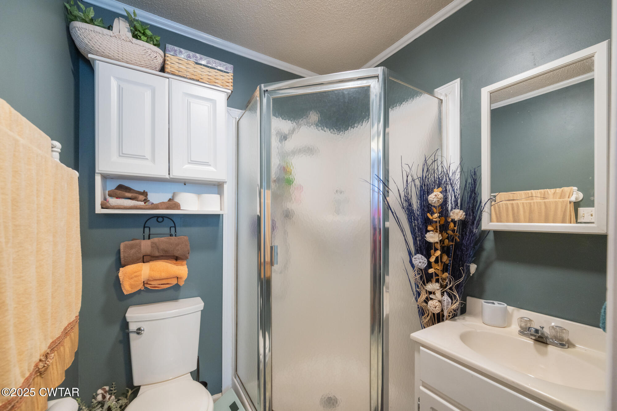 982 Lost Creek Boat Dock Road Decaturville, TN 38329 - Photo 20 of 31 a bathroom with a sink toilet and vanity