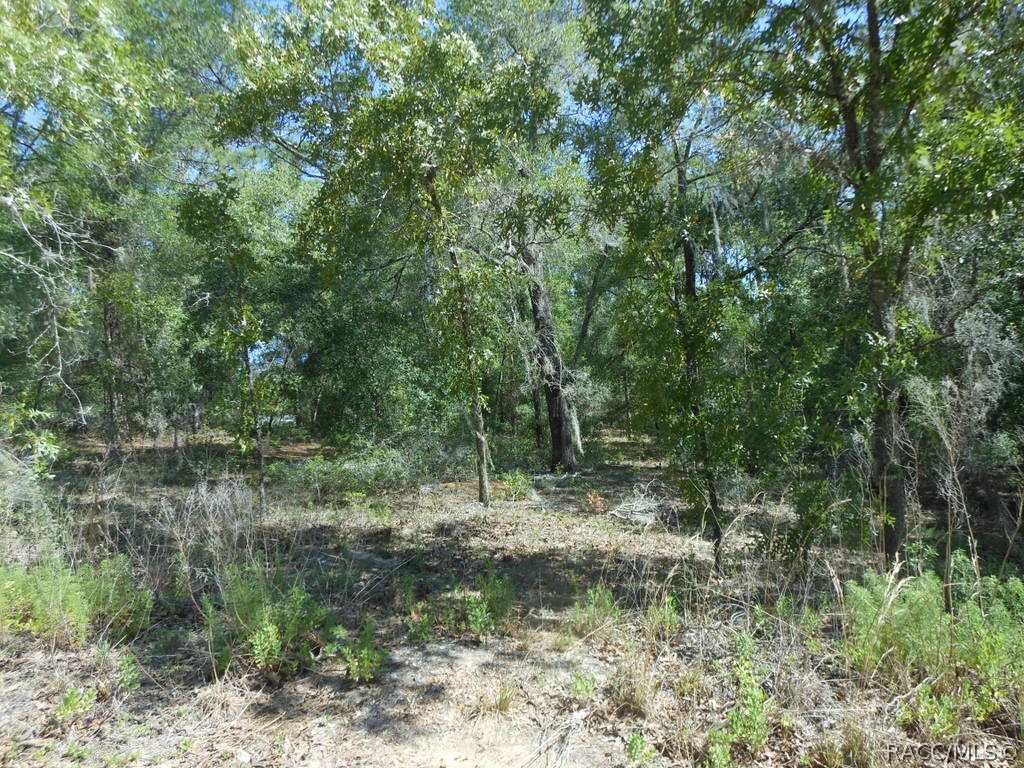 5225 East Prentice Lane Inverness, FL 34452 - Photo 3 of 3
