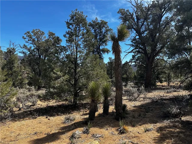 a view of a backyard of the house