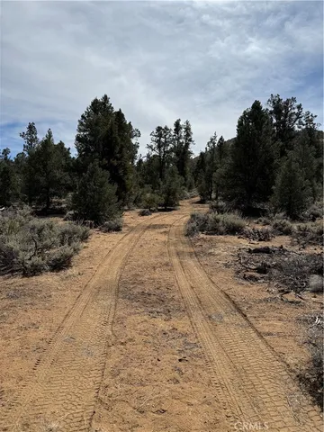a view of a backyard of a house