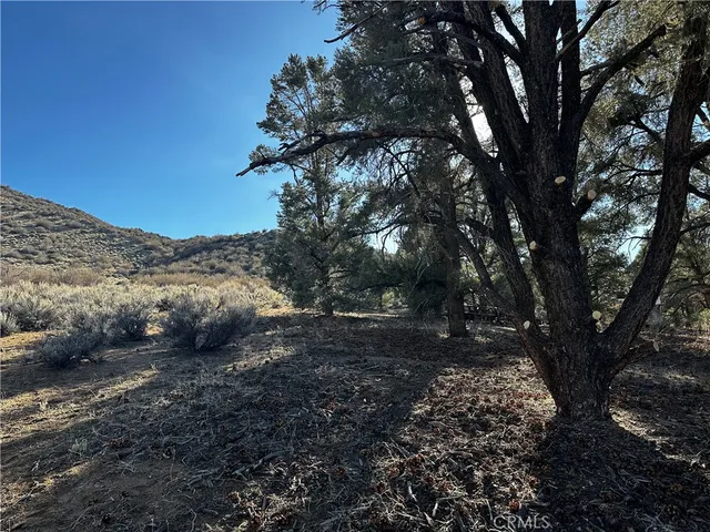 a view of mountain view with lots of trees