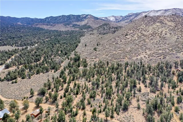 an aerial view of mountain with residential trees in the background