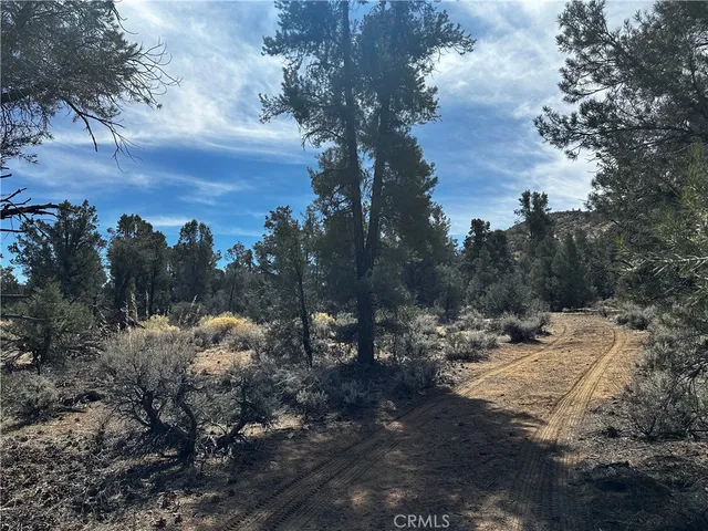 a view of a town with trees around