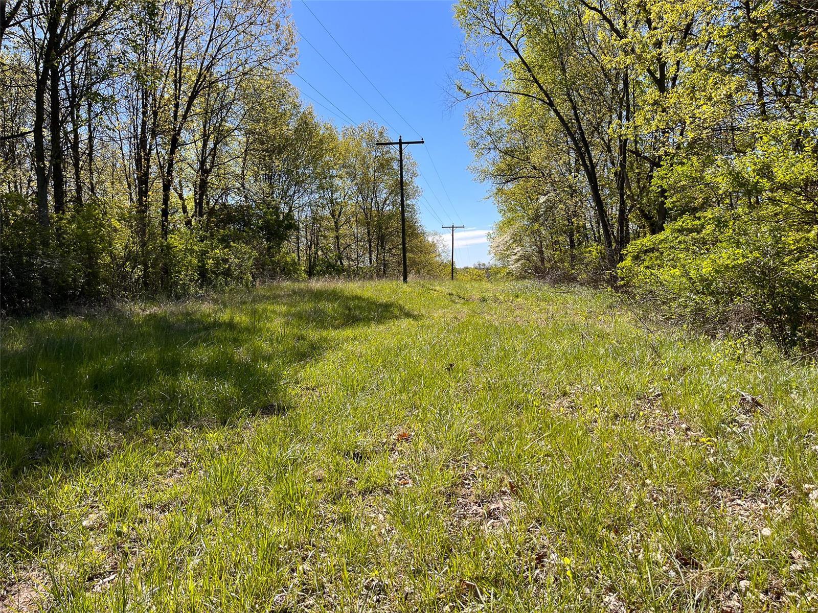 0 Southwest 100th Avenue Kane, IL 62054 - Photo 21 of 55 Gallery Image 21