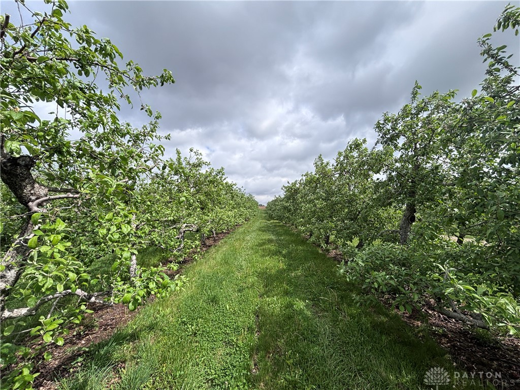 9319 Wesler Road New Paris, OH 45347 - Photo 80 of 99