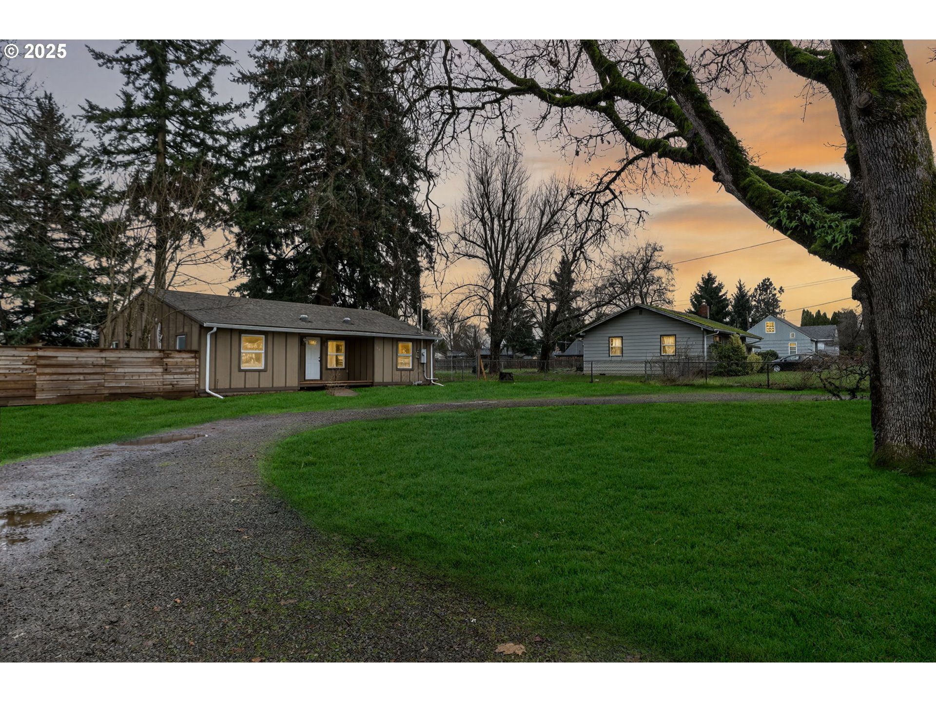 a view of a yard in front of a house with a large tree