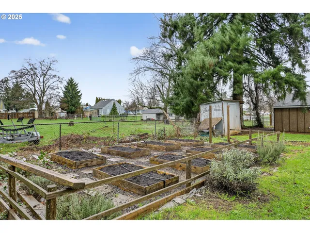 a view of a backyard