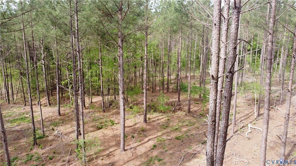 Winningham Road Crewe, VA 23930 - Photo 7 of 13 Gallery Image 7