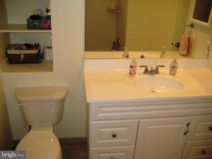 167 Annandale Road Falls Church, VA 22046 - Photo 2 of 21 Upper Level Hall Bath - Remodeled