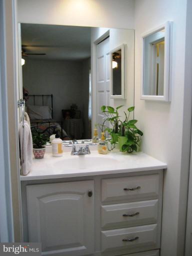 167 Annandale Road Falls Church, VA 22046 - Photo 13 of 21 Remodeled Master Bath
