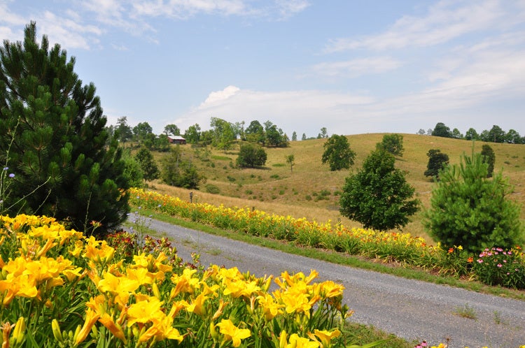 2096 Charles Boothe Road Sinks Grove, WV 24976 - Photo 10 of 52 Gallery Image 10