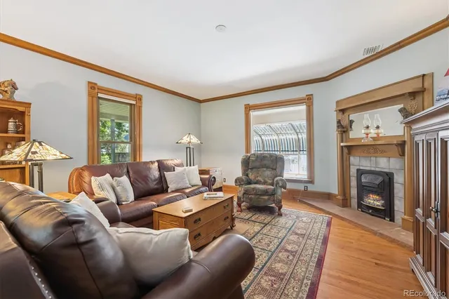a living room with furniture window and a fireplace
