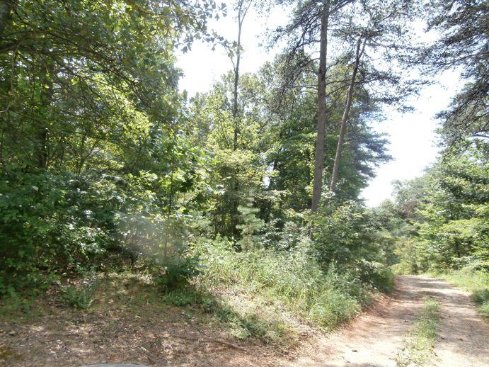 2776 Old Forge Road Callaway, VA 24067 - Photo 1 of 7 Land