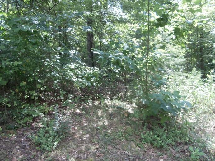 2776 Old Forge Road Callaway, VA 24067 - Photo 3 of 7 3 Land