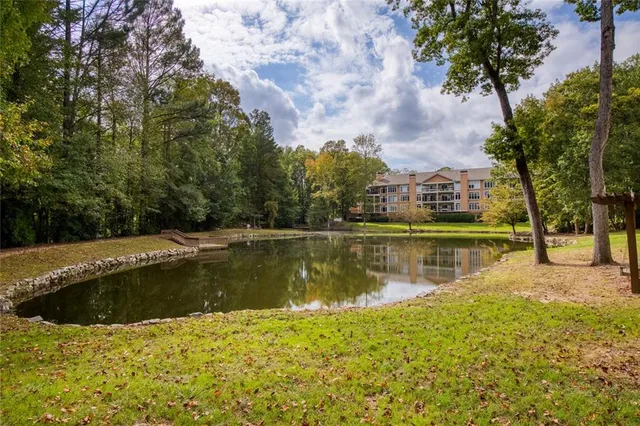 a view of a garden with plants and a bench