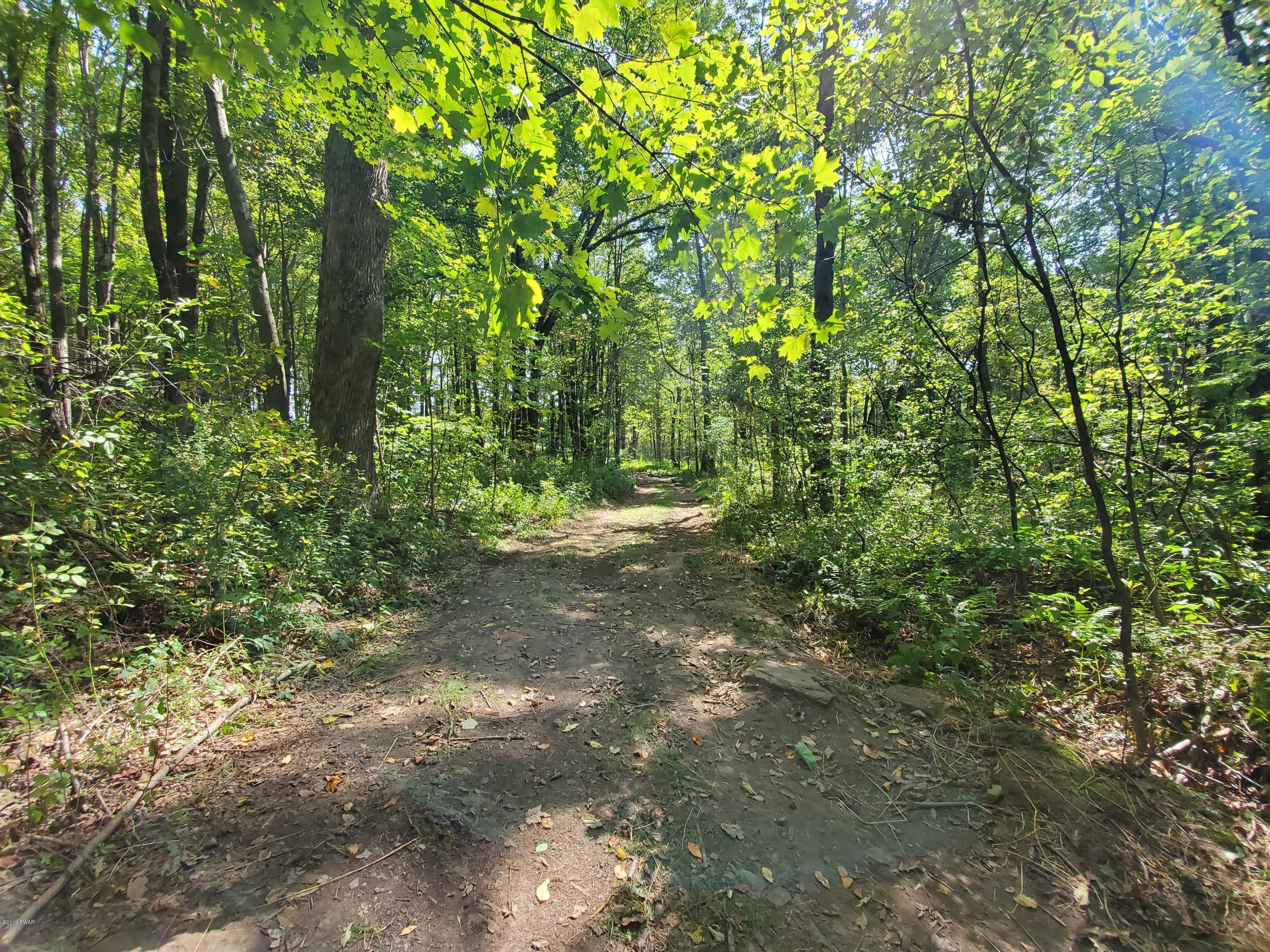 South Preston Road Lakewood, PA 18439 - Photo 7 of 16