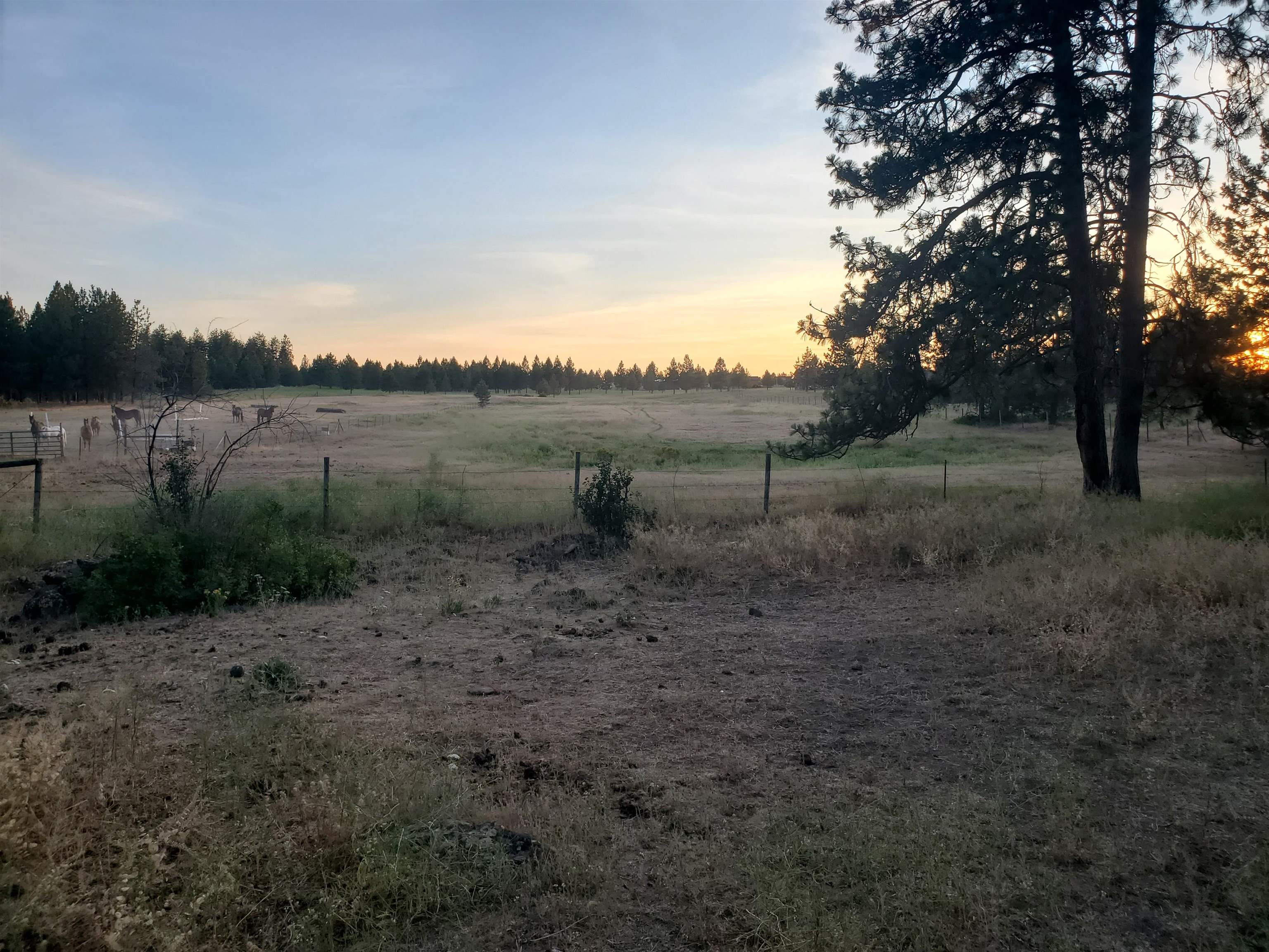 14425 North Christensen Road Nine Mile Falls, WA 99026 - Photo 34 of 37