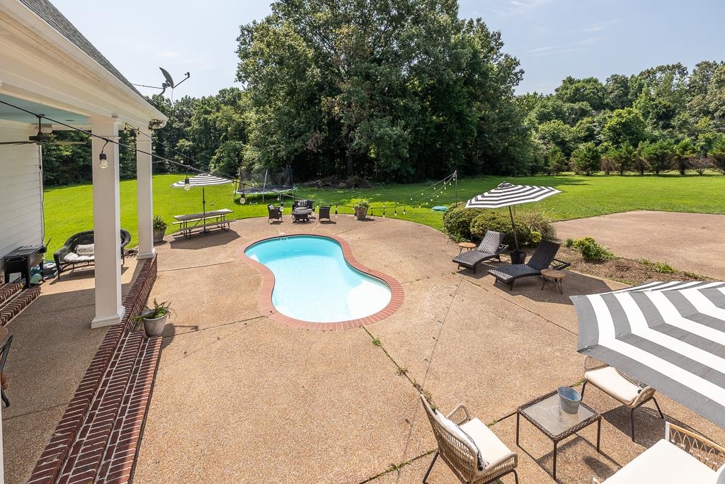 1915 Teague Store Road Somerville, TN 38068 - Photo 12 of 38 Backyard oasis featuring a kidney-shaped swimming pool with brick coping, expansive concrete patio, and a covered porch with white columns