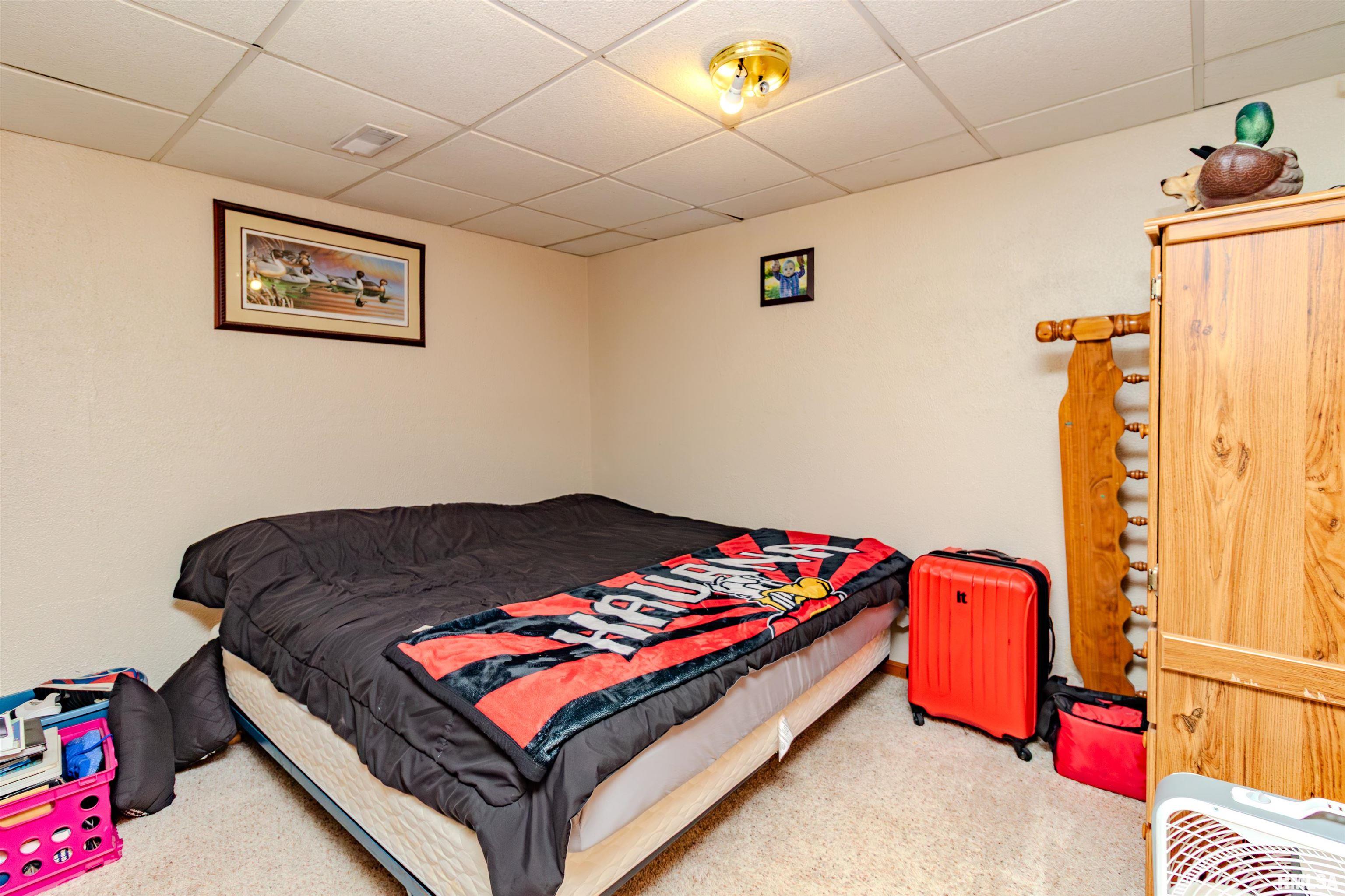 1101 County Road 950 Bath, IL 62617 - Photo 28 of 54