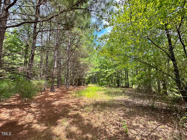 a view of outdoor space and a yard