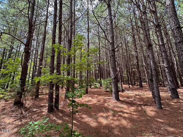 a view of outdoor space with deck and trees