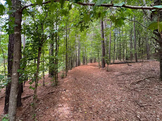 a view of outdoor space and trees