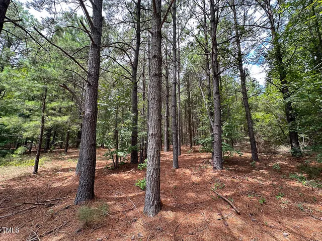 a view of outdoor space with lots of trees