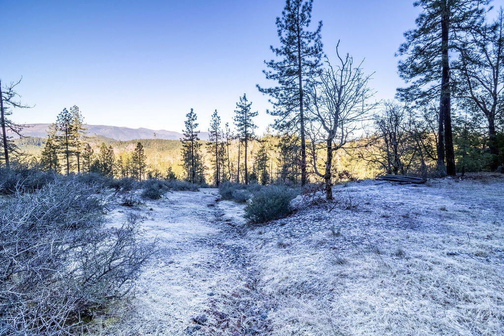 0 Waldo Road, Unit 403 Cave Junction, OR 97523 - Photo 5 of 17 a view of backyard with outdoor space